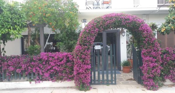 ΡΙΤΣΑ